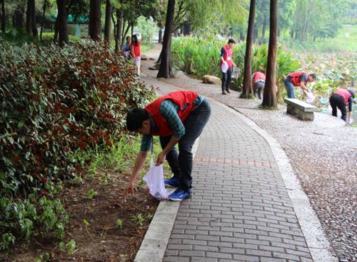 clip_image002.jpg IMG_3311.JPG