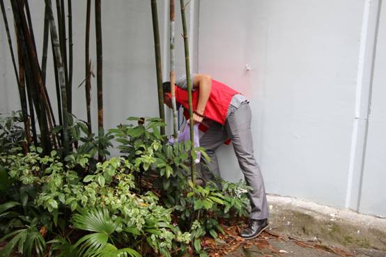 clip_image004.jpg IMG_3293.JPG